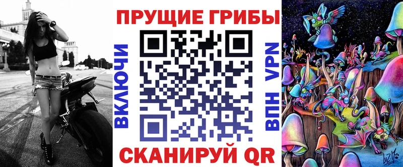 Купить Волхов Галлюциногенные грибы Psilocybe