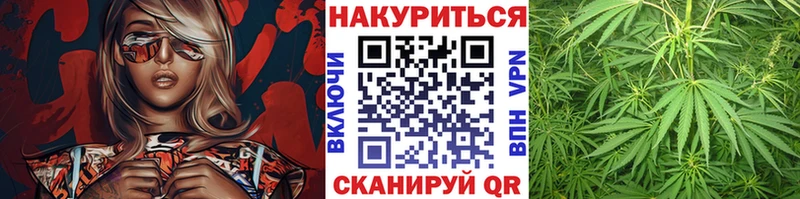 Канабис VHQ Купить Волхов